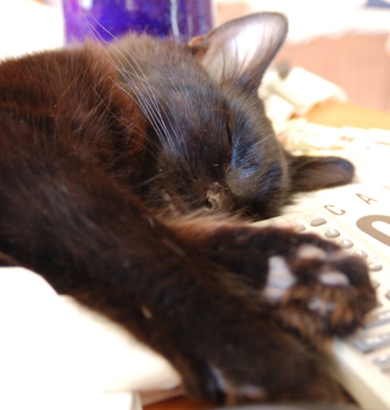 SmugeSnoozingG