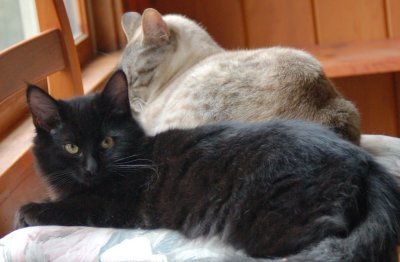 E.and S..on a chair