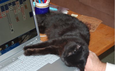 Smudge on a mouse