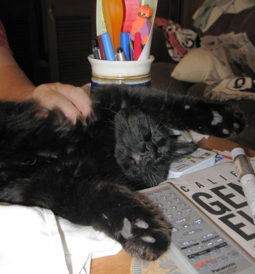 Smuge Snoozing