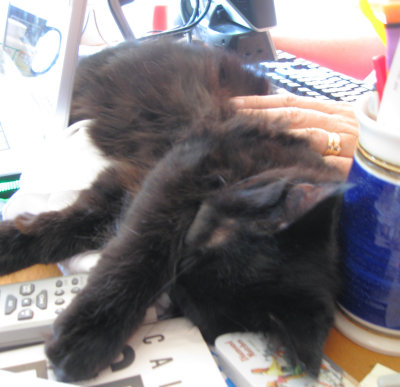 Smuge SnoozingD