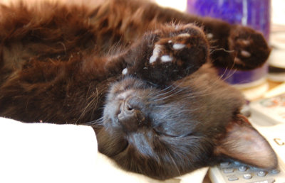 Smuge SnoozingE