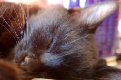 SmugeSnoozing i
