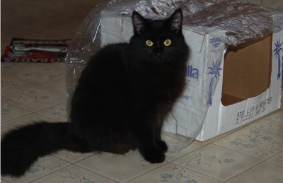 Odd Smudge