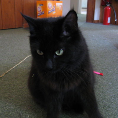 Smudge
