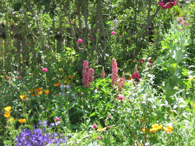 Humboldt Garden Tour 09