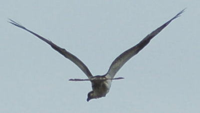 g1/95/744595/3/97577630.abzMfGm0.jpg