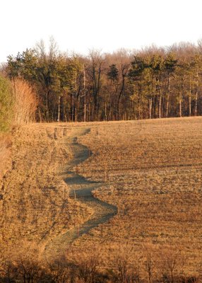 Switchback