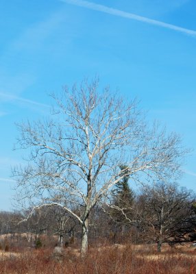 DSC_0022.jpg