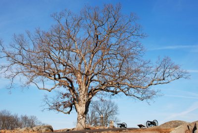 DSC_0028.jpg