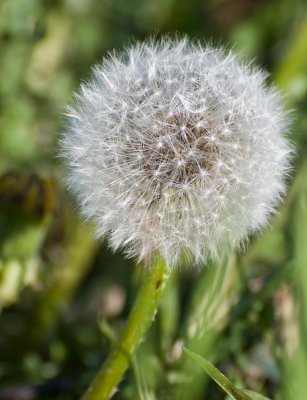 Sphere