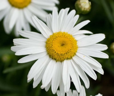 DSC_2263.jpg