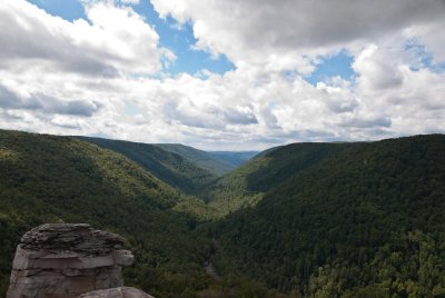 DSC_4195.jpg