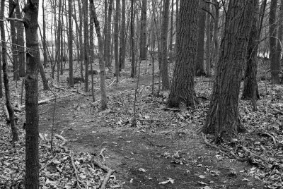 WMT Park Trails in B&W