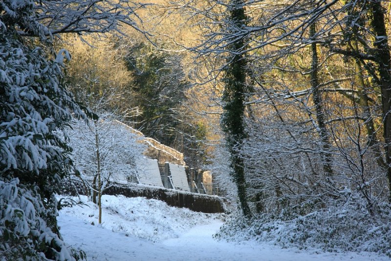 The Morning After the Snowstorm