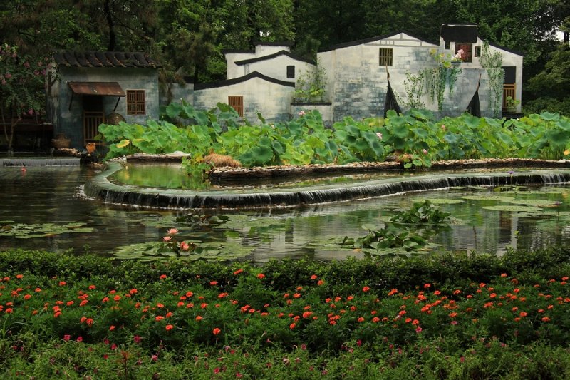 The Humble Administrator's Garden, Suzhou