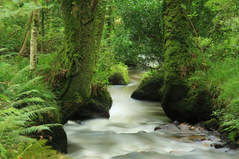 View Down the River