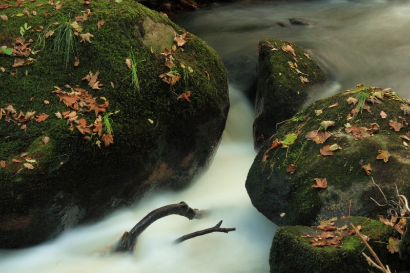 Stream Boulders