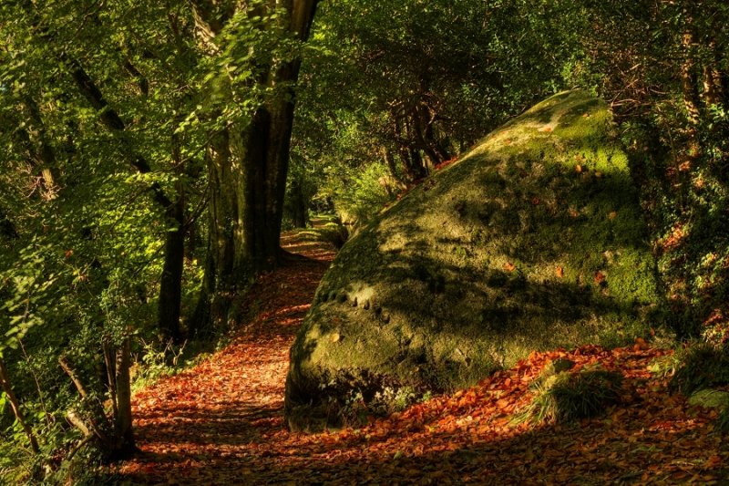 Large boulder & Autumn path