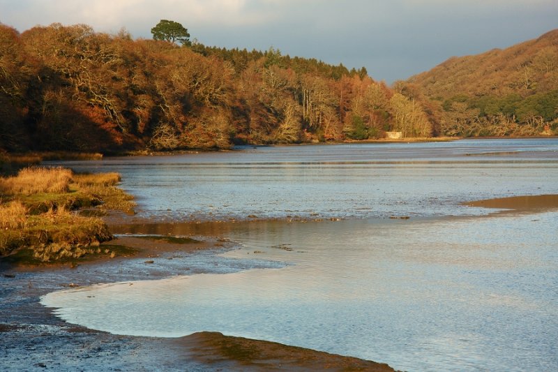 Tresillian Estuary at Pencalenick