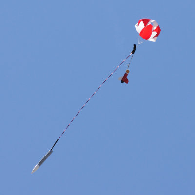 DSC_3178_crop.jpg