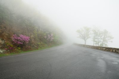 DSC_2471_s.jpg