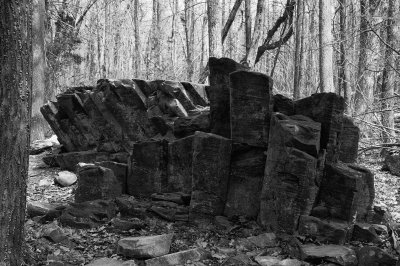 DSC_2619_bw.jpg