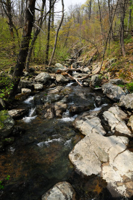 DSC_2631_s.jpg