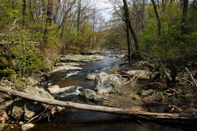 DSC_2632_s.jpg