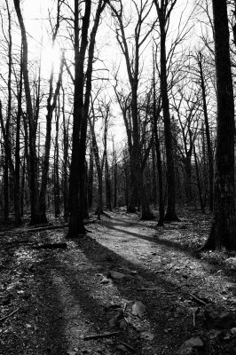 DSC_2644_bw.jpg