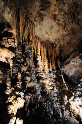 DSC_2492_s.jpg