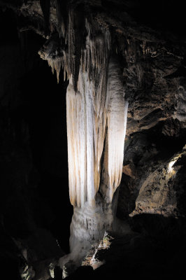 DSC_2515_s.jpg