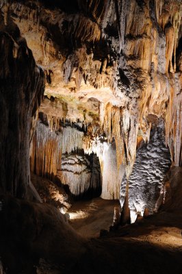 DSC_2525_s.jpg