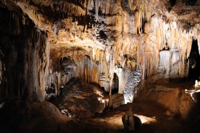DSC_2526_s.jpg