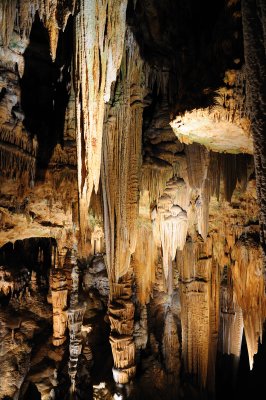 DSC_2541_s.jpg