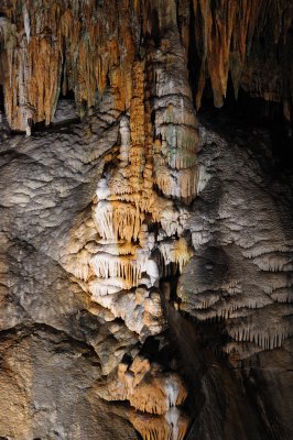 DSC_2552_s.jpg