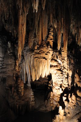 DSC_2553_s.jpg