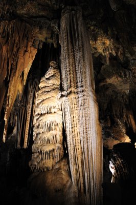 DSC_2557_s.jpg