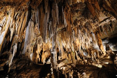 DSC_2562_s.jpg