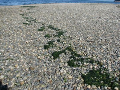 Rocky Beach