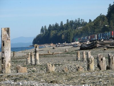 Picnic Point