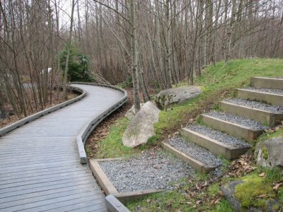 Path and steps