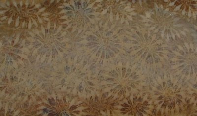 Agate Coral Detail