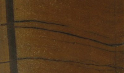 Quartz Tiger Eye Detail