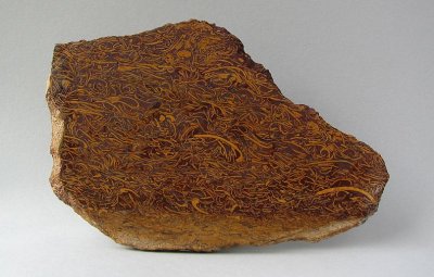 Jasper/Elephant Skin