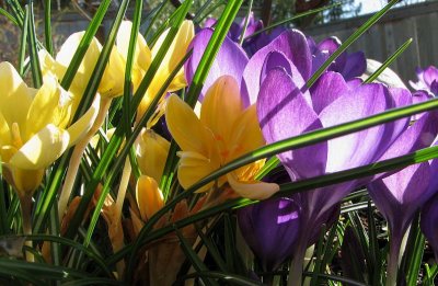 Img_2409E.jpg