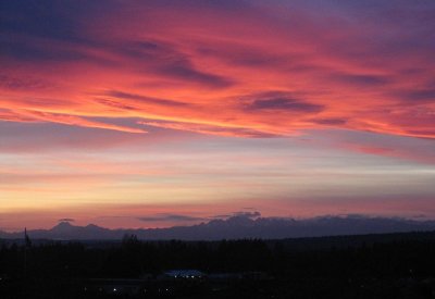 Img_1307D.jpg