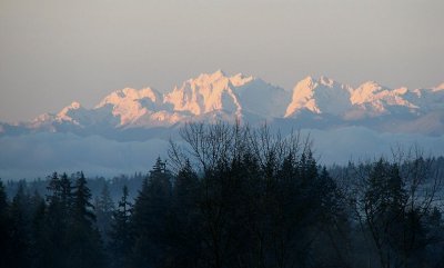 Img_1900D.jpg