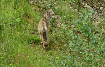 Img_3779D.jpg