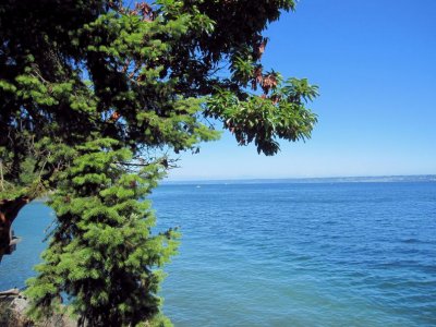 Kingston View